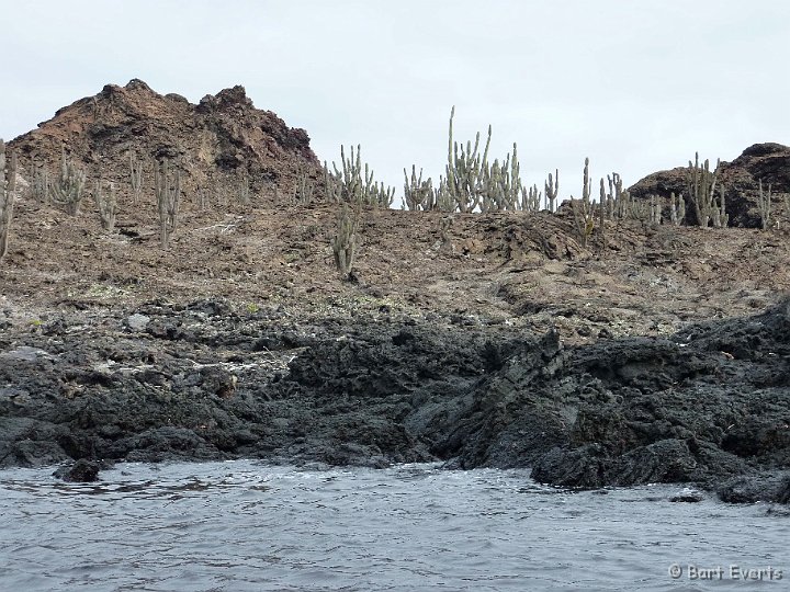 DSC_8165.jpg - Volcanic land with some cactuses