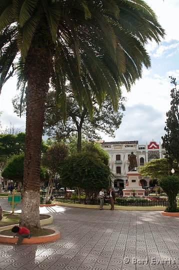 DSC_9565.JPG - Leafy square in Loja