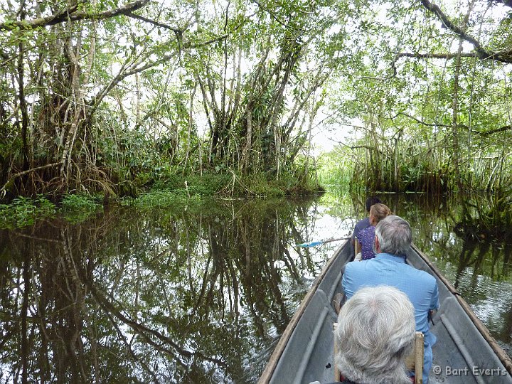eDSC_0224b.jpg - canoeing through lush vegatation
