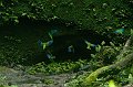 eDSC_0027