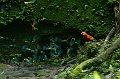 eDSC_0036