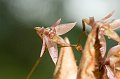 eDSC_0180