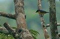 eDSC_0183