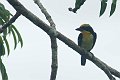 eDSC_0224