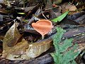 eDSC_0224e