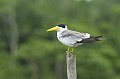 eDSC_0247