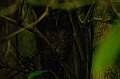eDSC_0256