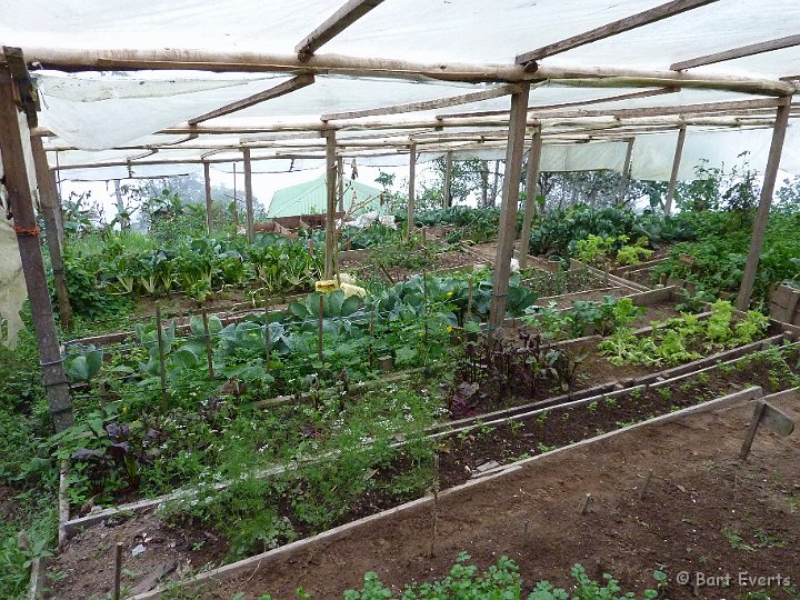 DSC_7847.jpg - Vegetable garden of the lodge