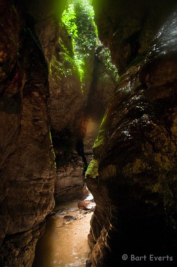 DSC_2870.JPG - Oilbird cave