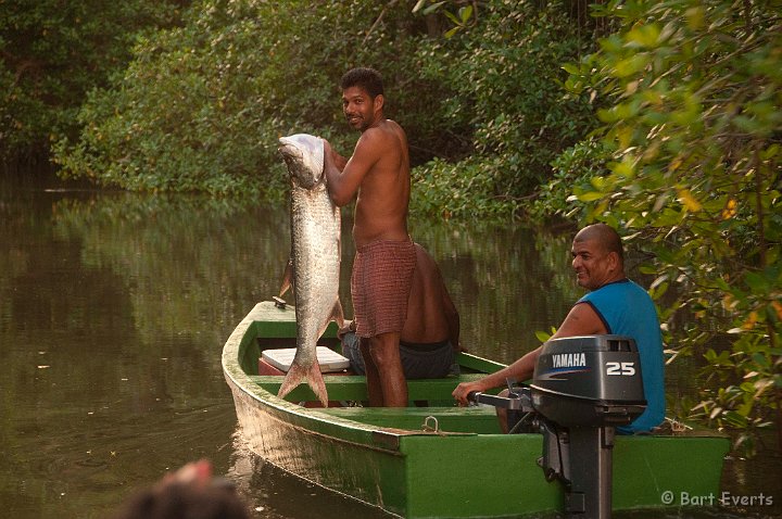 DSC_3016.JPG - A big catch: Tarpon