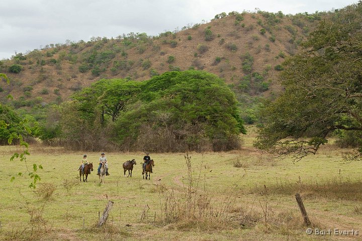 DSC_6451.JPG - Horse Riding