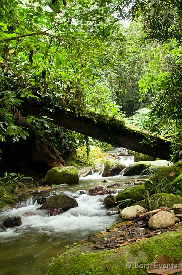 DSC_6716.JPG - Mountain stream