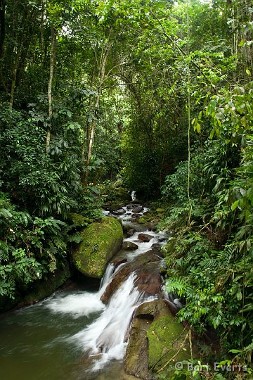 DSC_6724.JPG - Mountain stream